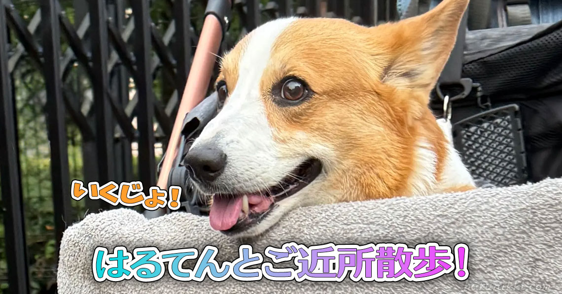 はるてんとご近所散歩！
