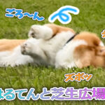 はるてんと芝生広場へ