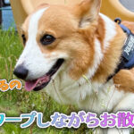ワープしながらお散歩