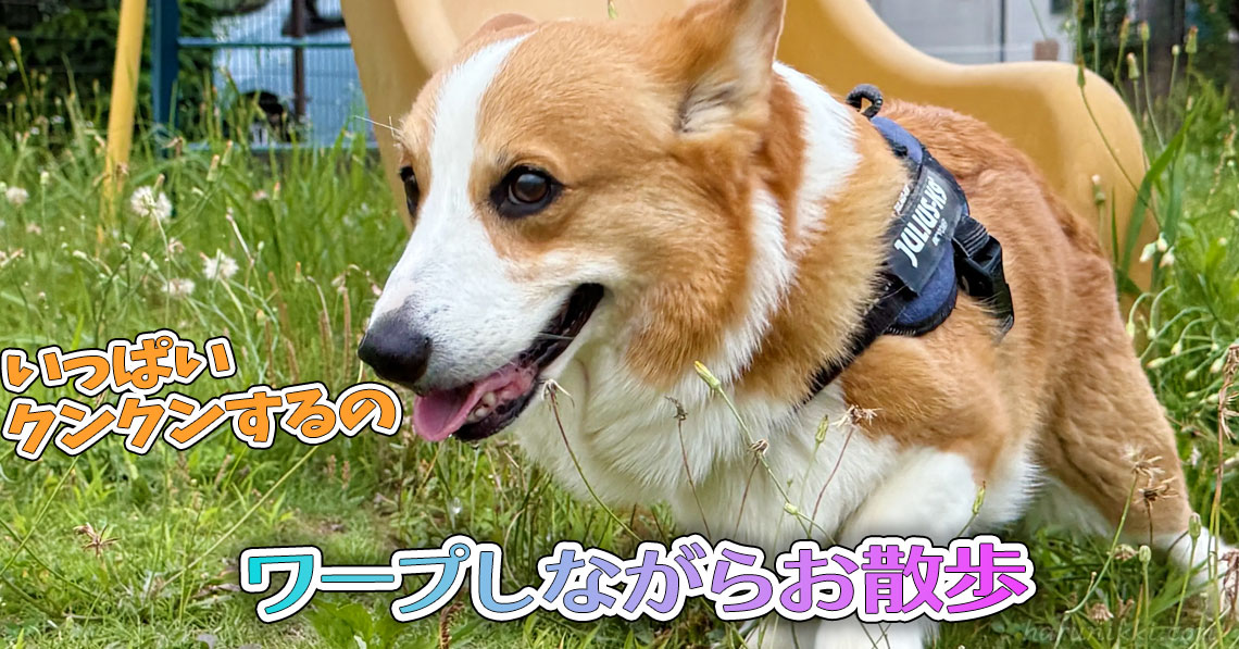ワープしながらお散歩
