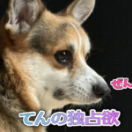 てんの独占欲