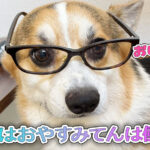 はるはおやすみてんは働く？