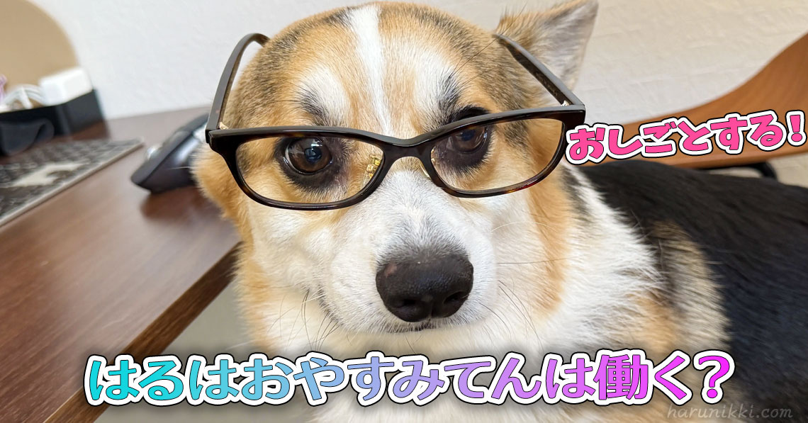 はるはおやすみてんは働く？