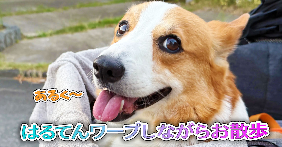 はるてんワープしながらお散歩