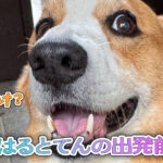 はるとてんの出発前