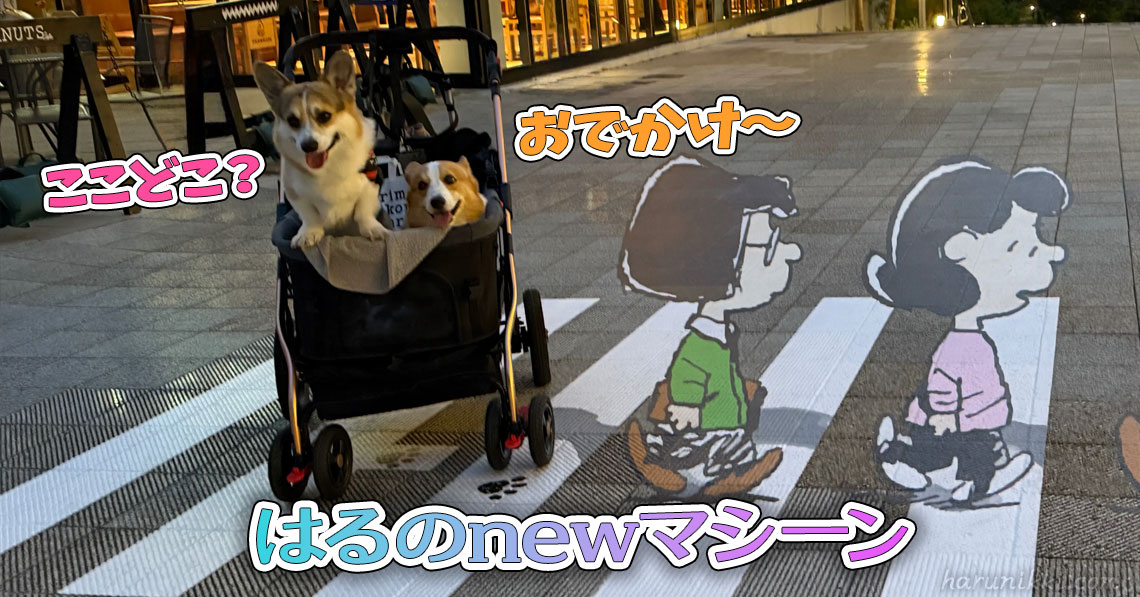 はるのnewマシーン