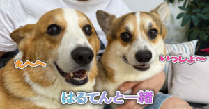 はるてんと一緒