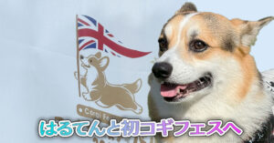 はるてんと初コギフェスへ