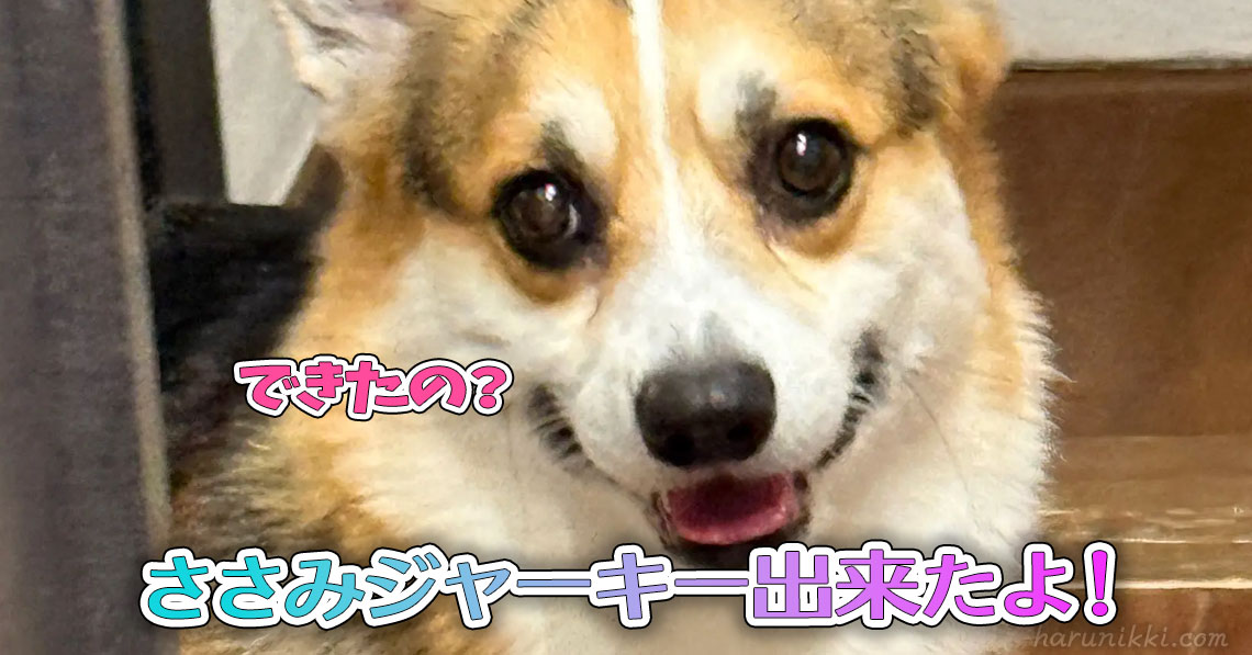 ささみジャーキー出来たよ！