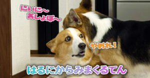 はるにからみまくるてん