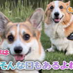 そんな日もあるよね