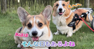 そんな日もあるよね