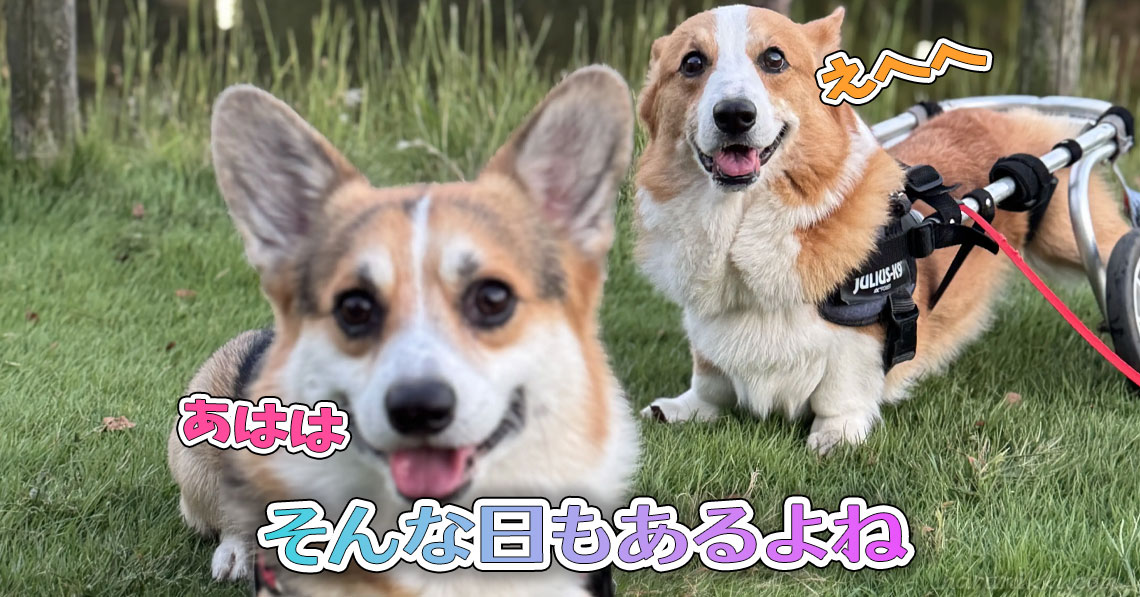 そんな日もあるよね