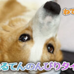 はるてんのんびりタイム