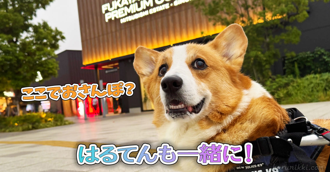 はるてんも一緒に！