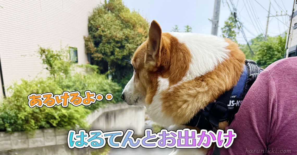 はるてんとお出かけ