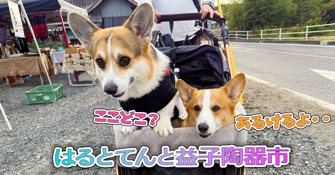 はるとてんと益子陶器市