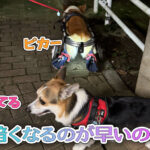 暗くなるのが早いので