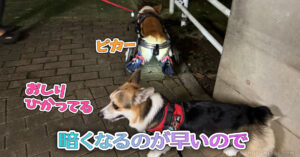 暗くなるのが早いので