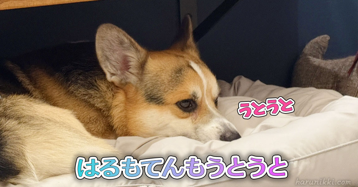 はるもてんもうとうと