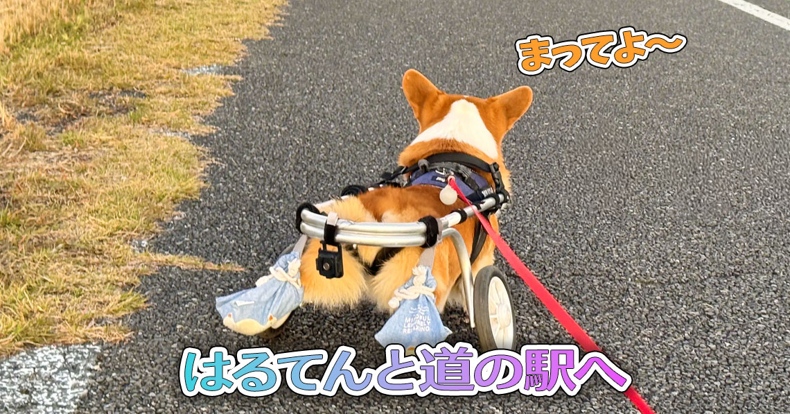 はるてんと道の駅へ