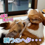 誘うのヘタ・・・