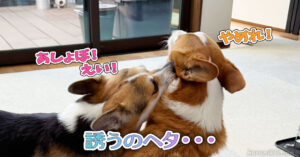 誘うのヘタ・・・