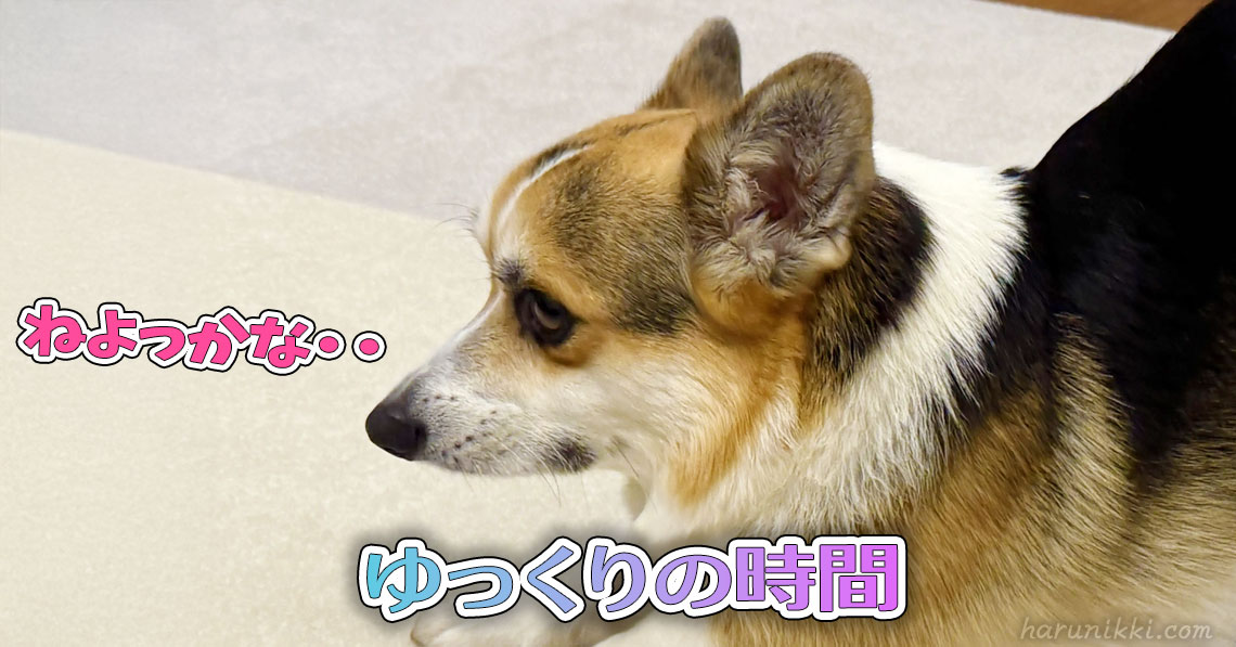 ゆっくりの時間