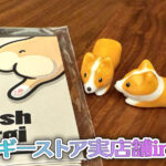 コーギーストア実店舗in東京