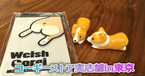 コーギーストア実店舗in東京