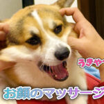 お顔のマッサージ