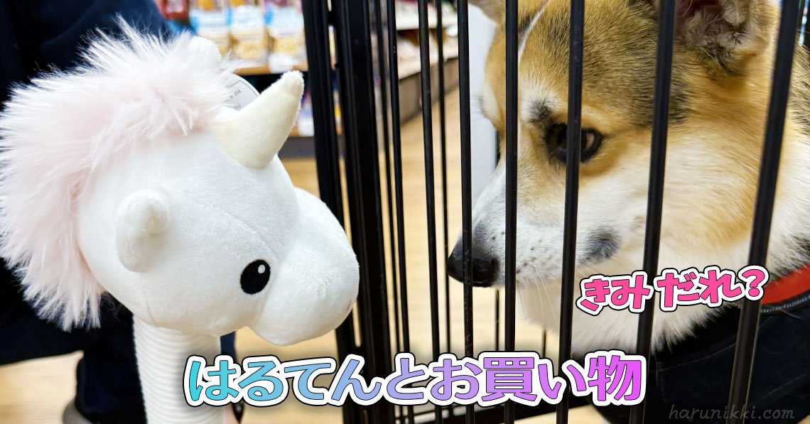 はるてんとお買い物