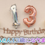はるさん13歳になりました