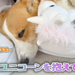 ユニコーンを抱えて