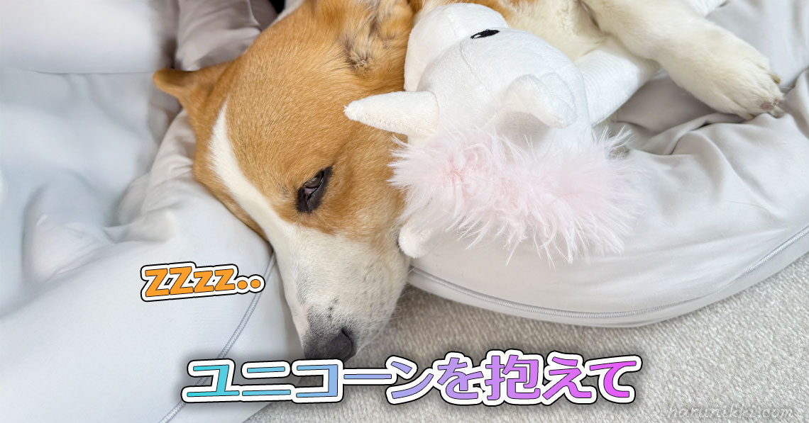 ユニコーンを抱えて