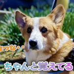 ちゃんと覚えてる