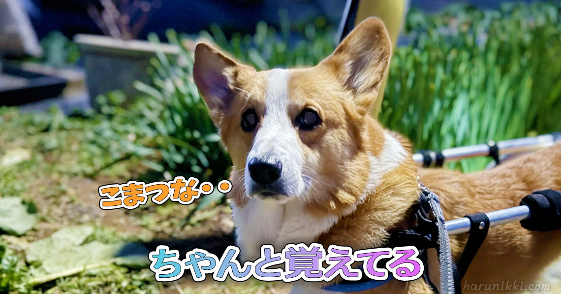 ちゃんと覚えてる