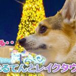 はるてんとレイクタウン