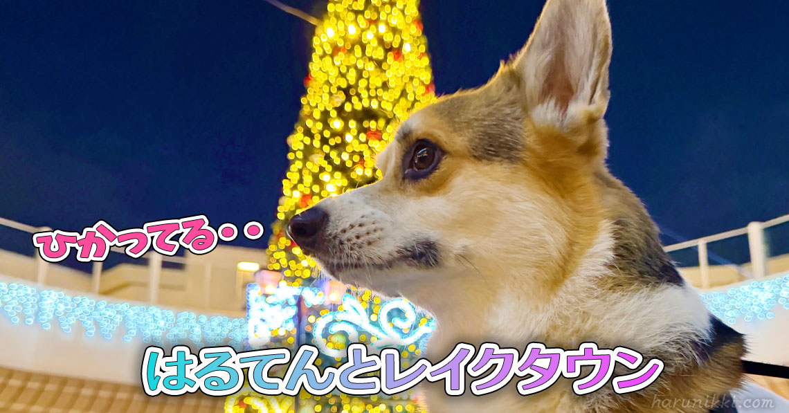 はるてんとレイクタウン