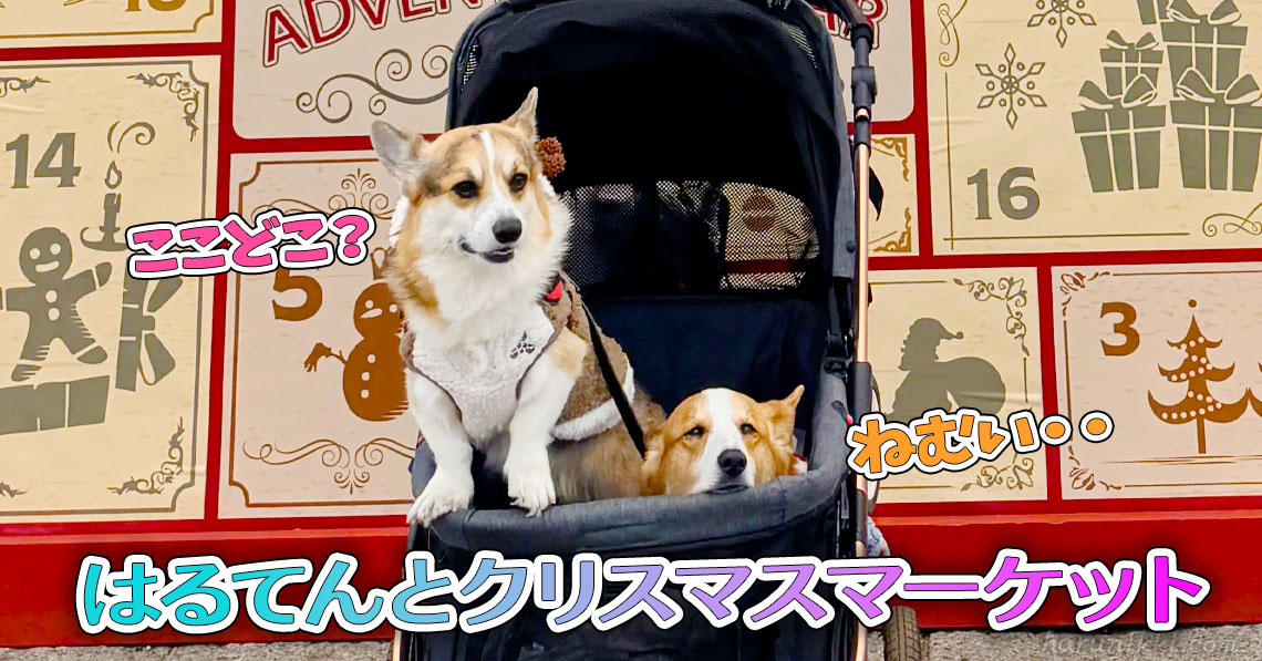 はるてんとクリスマスマーケット