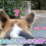 はるが来るのを待つ