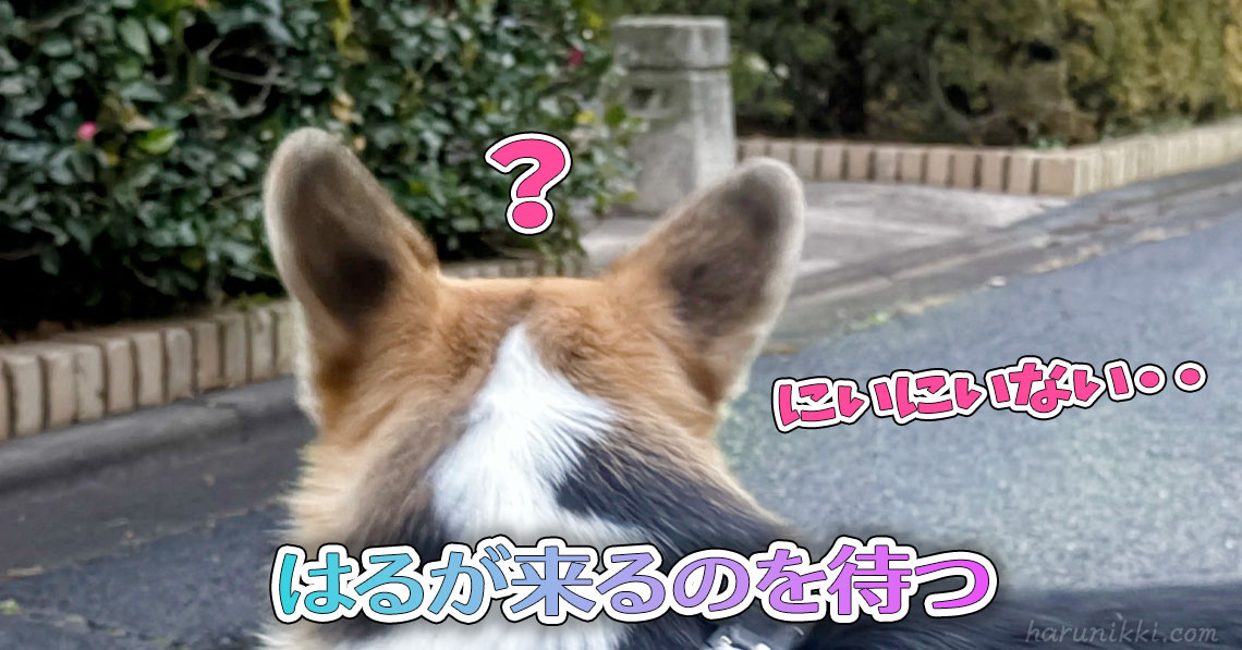 はるが来るのを待つ