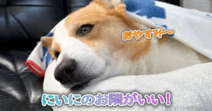 にいにのお隣がいい！