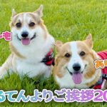 はるてんよりご挨拶2025