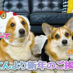 はるてんより新年のご挨拶2026