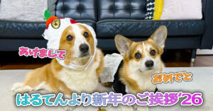 はるてんより新年のご挨拶2026