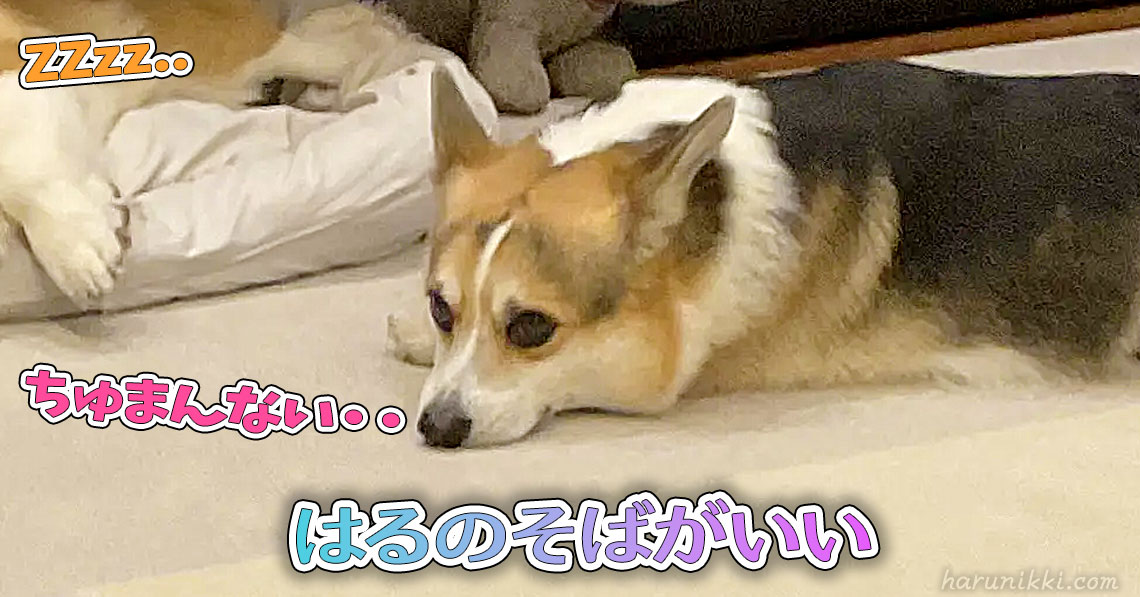 はるのそばがいい