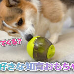 好きな知育おもちゃ