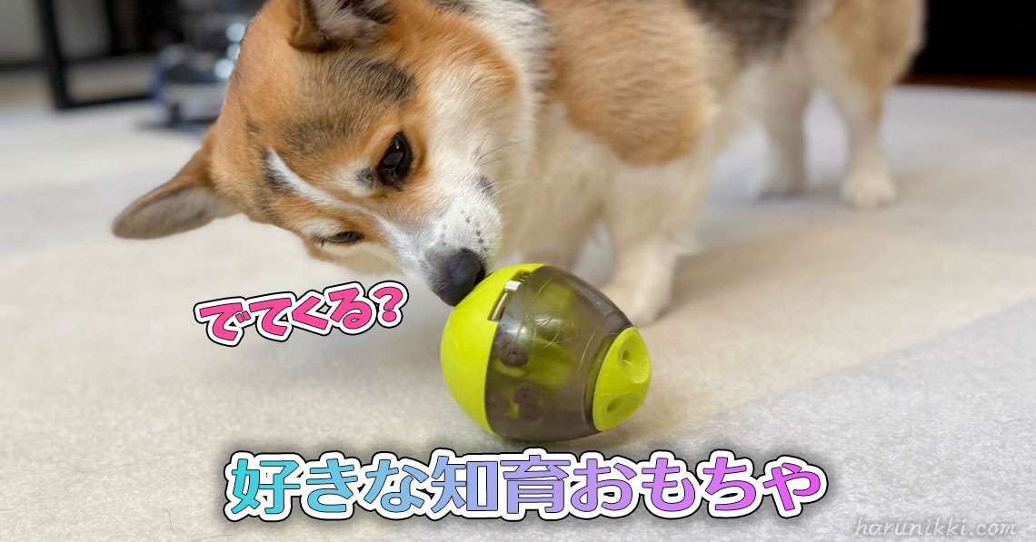 好きな知育おもちゃ