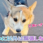 にいに以外は緊張しちゃう